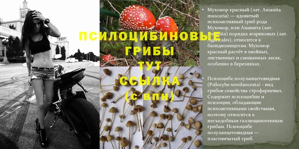 мдма Гусев