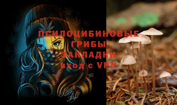 прущие крисы Горно-Алтайск