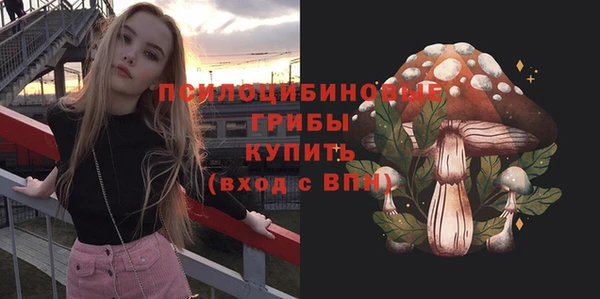 спайс Гусиноозёрск