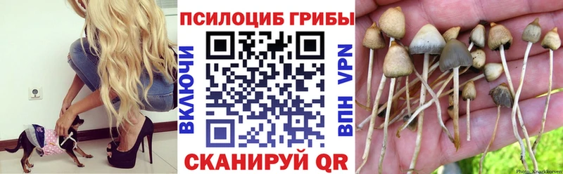 блэк спрут маркетплейс  купить наркоту  Люберцы  Галлюциногенные грибы ЛСД 