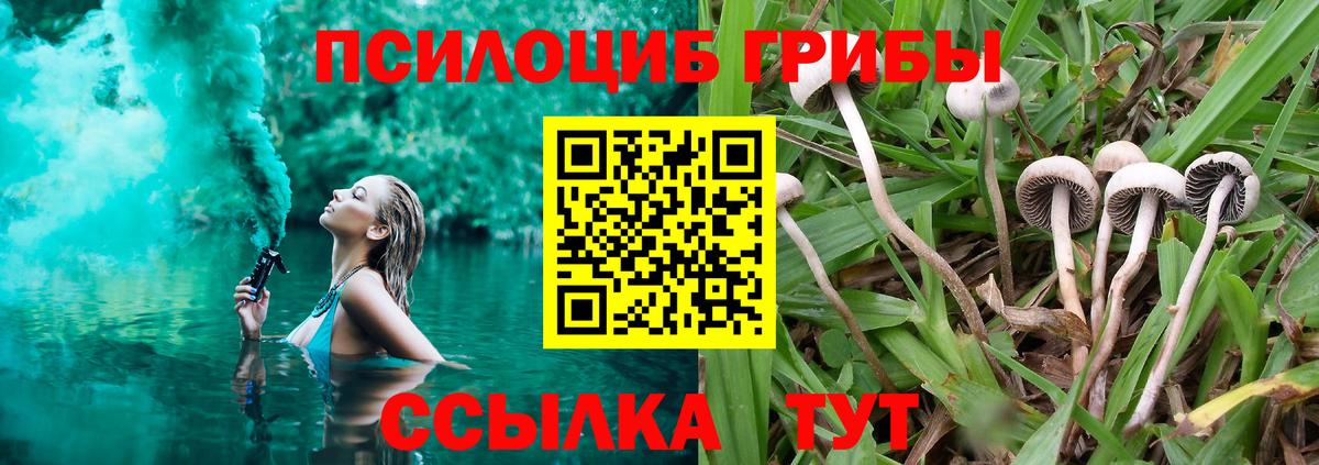 Псилоцибиновые грибы мухоморы  цена наркотик  Люберцы  Вход с VPN 